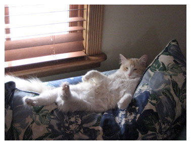 Rupert on the Couch